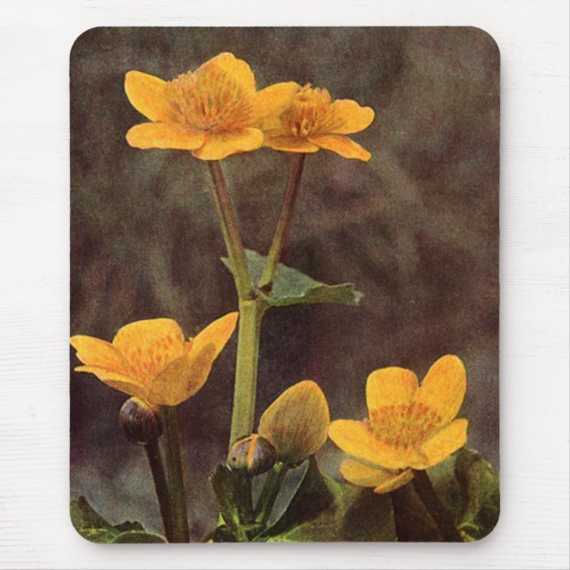 Alfombrilla De Ratón Wildflowers: Marsh Marigold (Frente)