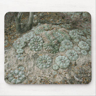 Alfombrilla De Ratón Williamsii del Lophophora - Peyote