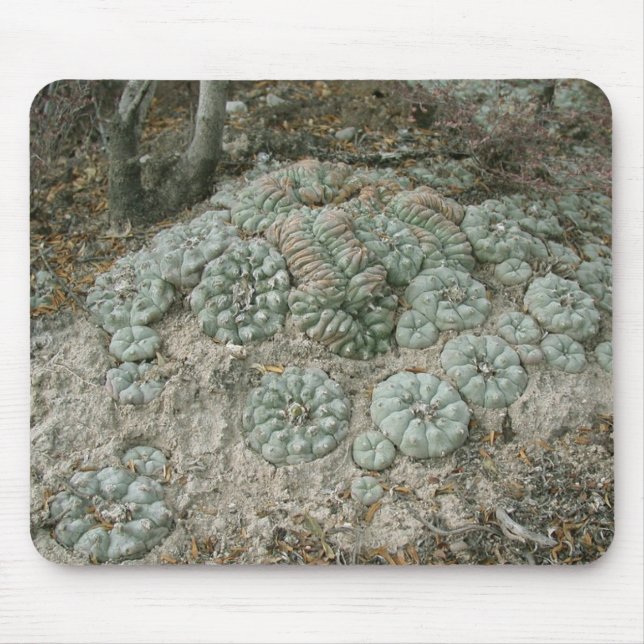 Alfombrilla De Ratón Williamsii del Lophophora - Peyote (Frente)