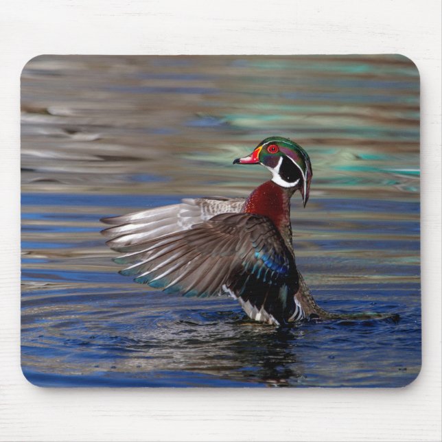 Alfombrilla De Ratón Wing Flapping Wood Duck (Frente)