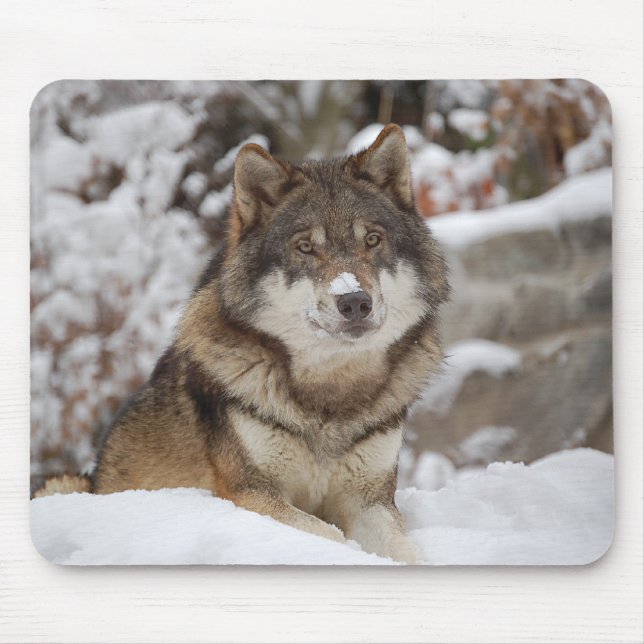 Alfombrilla De Ratón Winter Wolf (Frente)