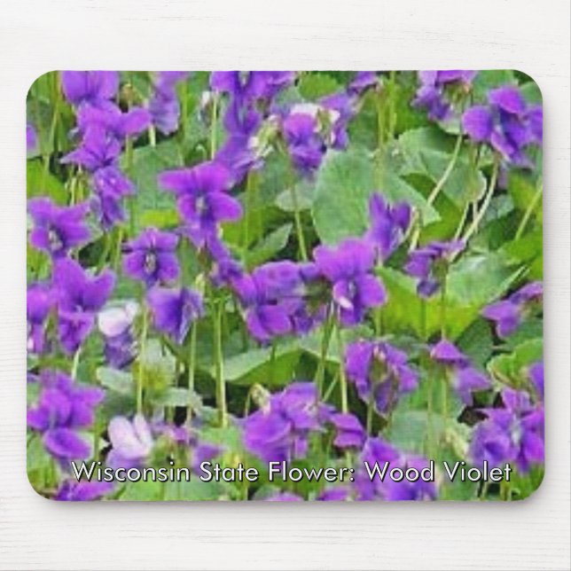 Alfombrilla De Ratón Wisconsin Wood Violets (Frente)