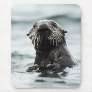 Alfombrilla De Ratón Wise Otter