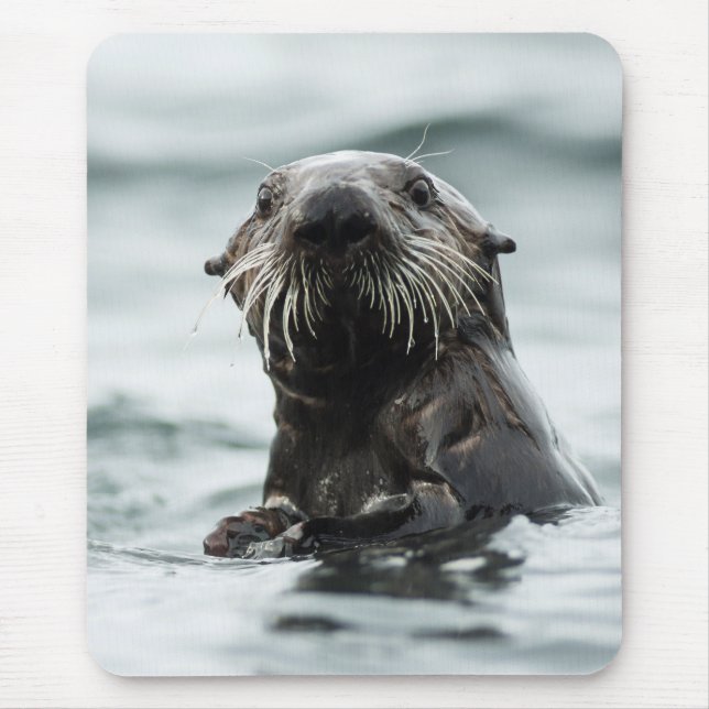 Alfombrilla De Ratón Wise Otter (Frente)