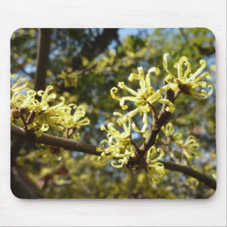Alfombrilla De Ratón Witch Hazel Flowers
