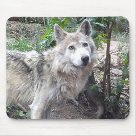 Alfombrilla De Ratón Wolf Mousepad