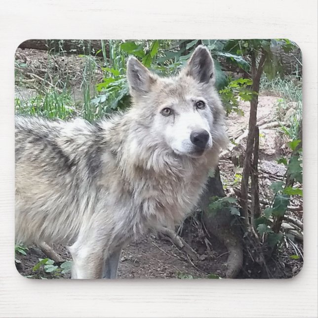 Alfombrilla De Ratón Wolf Mousepad (Frente)