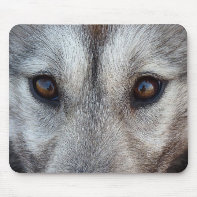 Alfombrilla De Ratón Wolf Puppy Mousepad Regala Perros Cazados Canadien (Frente)