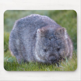 Alfombrilla De Ratón Wombat