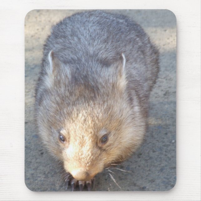 Alfombrilla De Ratón Wombat Mousepad (Frente)