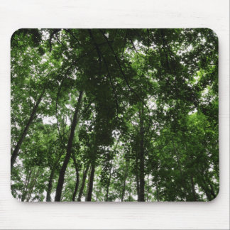 Alfombrilla De Ratón Woodland Canopy 01
