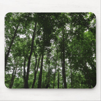 Alfombrilla De Ratón Woodland Canopy 02