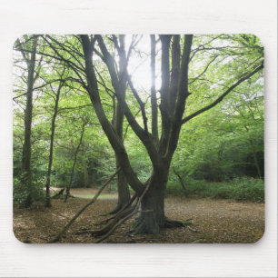 Alfombrilla De Ratón Woodland Sunshine Mousepad
