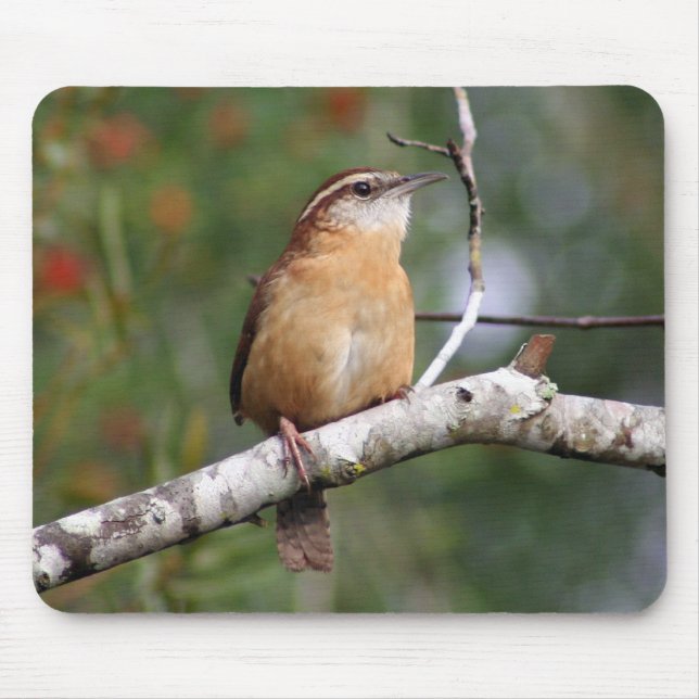 Alfombrilla De Ratón Wren de Carolina (Frente)