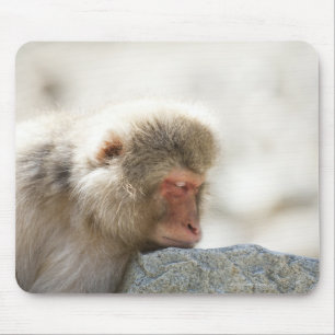 Alfombrilla De Ratón Yamanouchi, Chubu, prefectura de Nagano, Japón