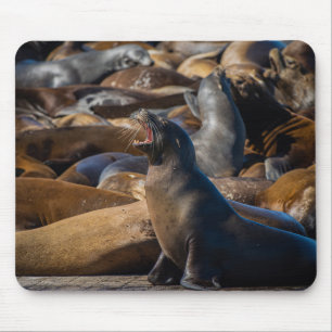 Alfombrilla De Ratón Yawning de león marino con colonia portuaria - Fot