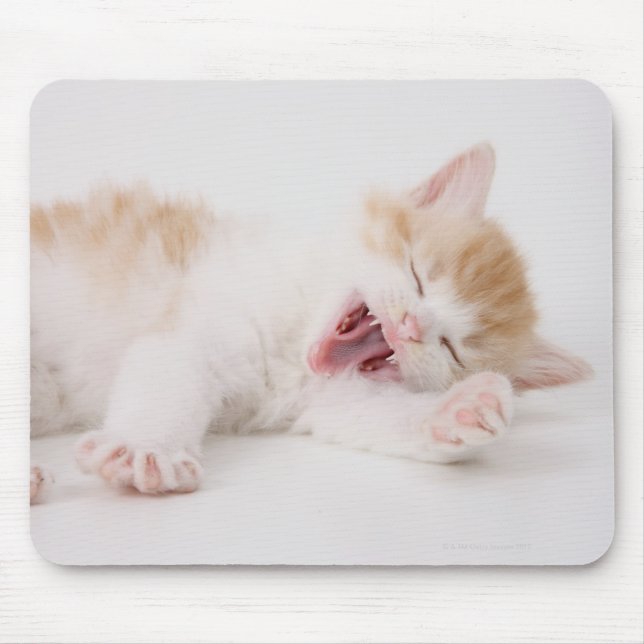 Alfombrilla De Ratón Yawning Kitten en fondo blanco. (Frente)