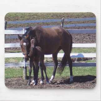 Alfombrilla De Ratón Yegua y potro