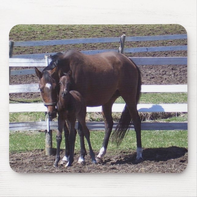 Alfombrilla De Ratón Yegua y potro (Frente)