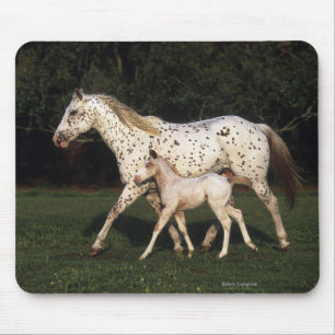 Alfombrilla De Ratón Yegua y potro del Appaloosa en campo