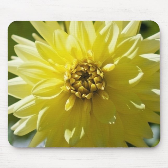 Alfombrilla de ratón Yellow Dahlia (Frente)