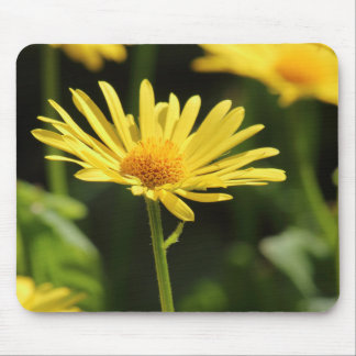 Alfombrilla De Ratón Yellow Daisy