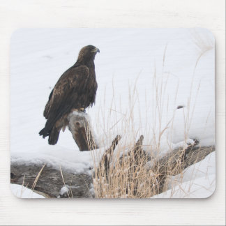 Alfombrilla De Ratón Yellowstone Eagle de oro