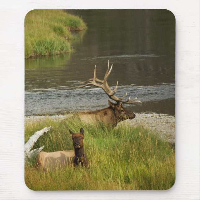 Alfombrilla De Ratón Yellowstone Mates Mousepad (Frente)