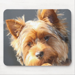 Alfombrilla De Ratón yorkie