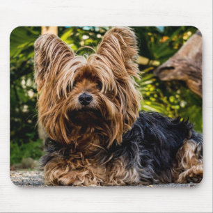 Alfombrilla De Ratón Yorkie