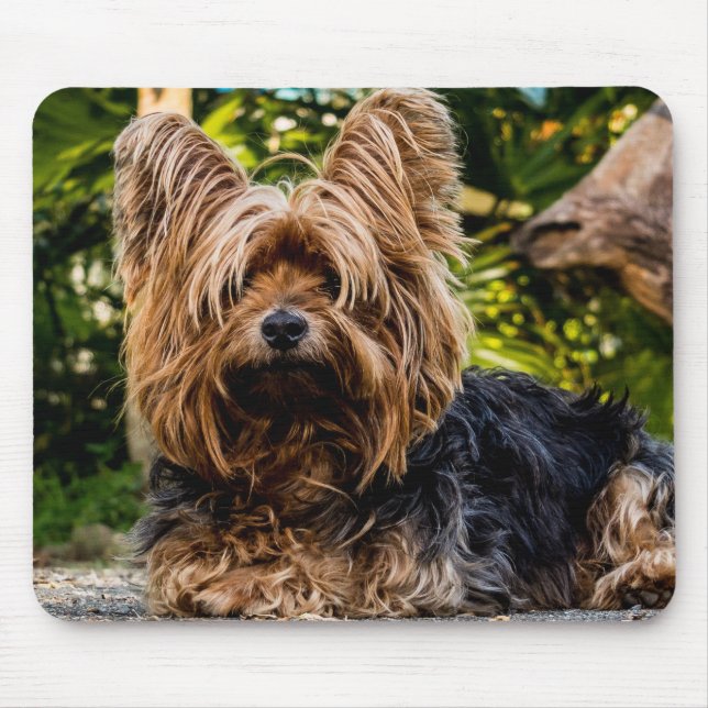 Alfombrilla De Ratón Yorkie (Frente)
