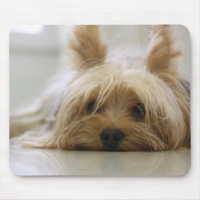 Alfombrilla De Ratón Yorkie lindo (Frente)
