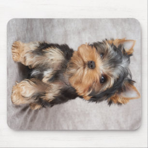 Alfombrilla De Ratón Yorkie maravilloso