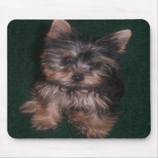 Alfombrilla De Ratón Yorkie Mousepad