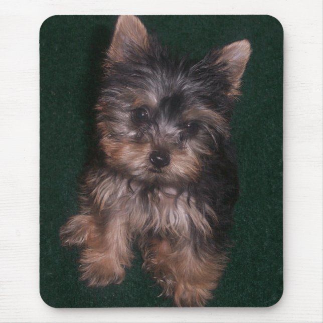 Alfombrilla De Ratón Yorkie Mousepad (Frente)