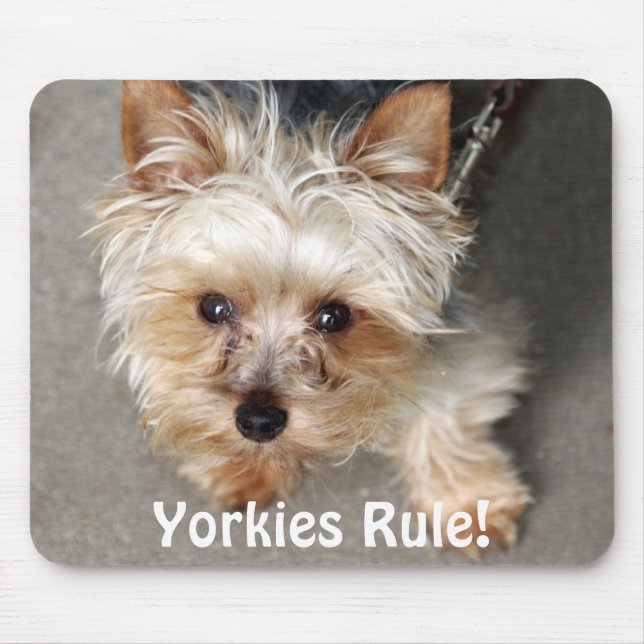 Alfombrilla De Ratón ¡Yorkie, regla de Yorkies! (Frente)