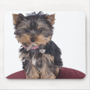Alfombrilla De Ratón Yorkshire