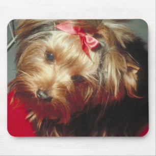 Alfombrilla De Ratón Yorkshire Terrier