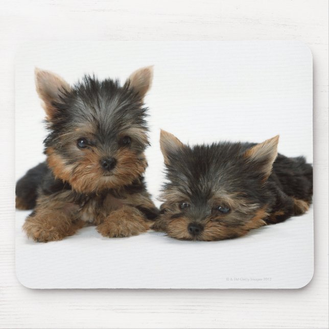 Alfombrilla De Ratón Yorkshire Terrier (Frente)