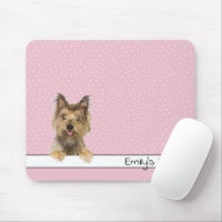 Yorkshire Terrier en los puntos de Polka