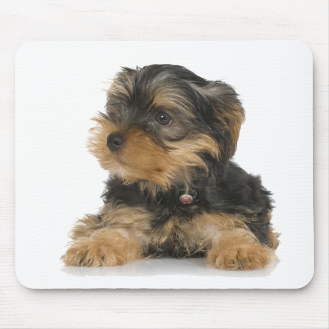 Alfombrilla De Ratón Yorkshire Terrier Mousepad (Frente)