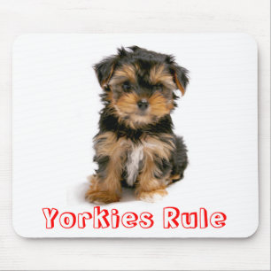 Alfombrilla De Ratón Yorkshire Terrier Perro Perro Mousepad
