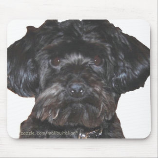Alfombrilla De Ratón Yorkshire Terrier Poodle Mix