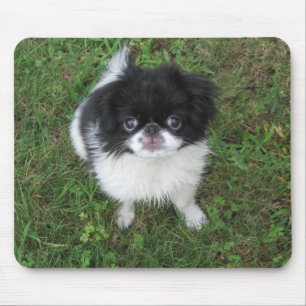 Alfombrilla De Ratón Yoshi
