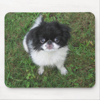 Alfombrilla De Ratón Yoshi