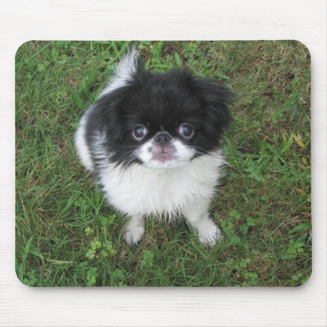 Alfombrilla De Ratón Yoshi (Frente)