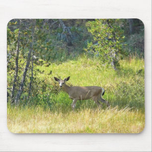 Alfombrilla De Ratón Young Buck in Yosemite, CA