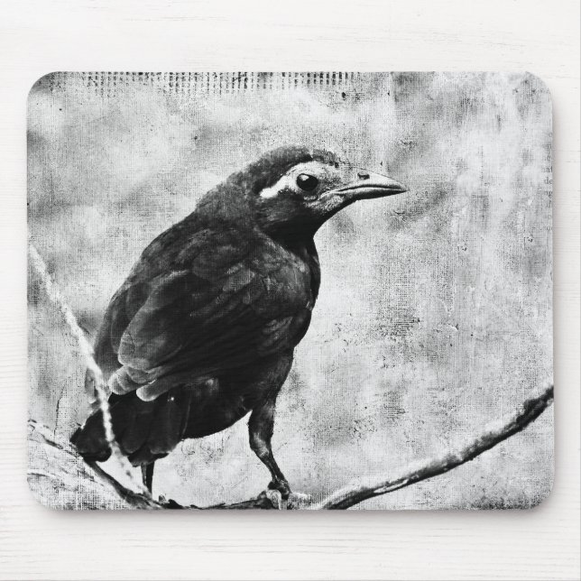 Alfombrilla De Ratón Young Grackle (Frente)