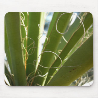 Alfombrilla De Ratón Yucca deja fotografía verde de la naturaleza
