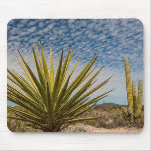 Alfombrilla De Ratón Yucca en el desierto, México